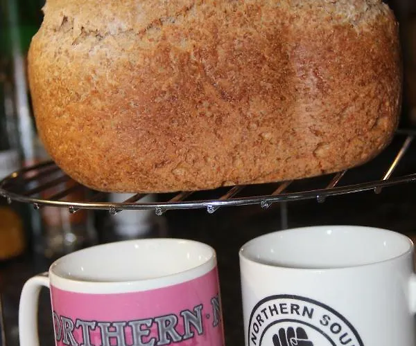 Digs ゲストハウス