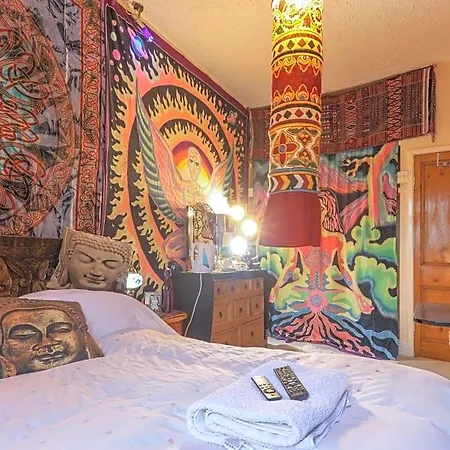 Digs 5*