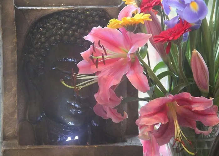 Digs بيت ضيافة