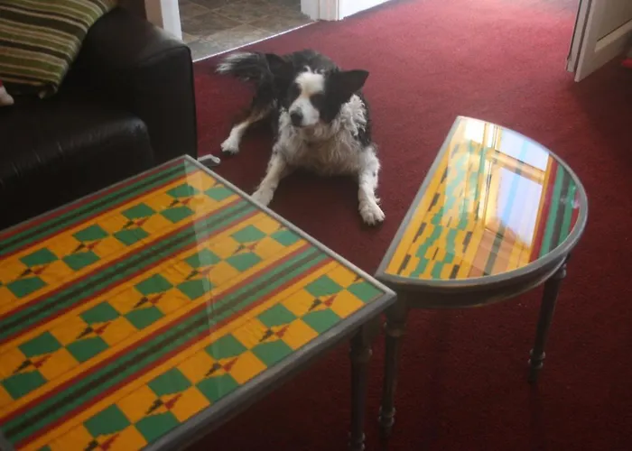 Digs بيت ضيافة 5*